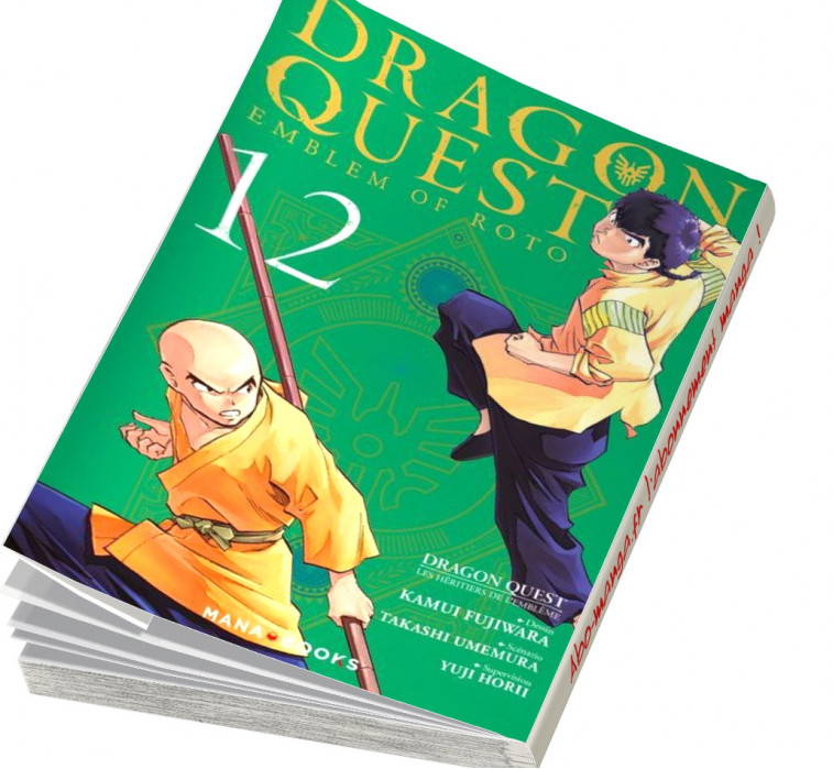 Dragon Quest - Les Héritiers de l'Emblème tome 12