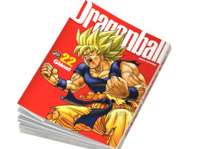 Couverture Dragon ball Perfect edition Vol. 22