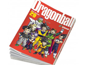 Couverture Dragon ball Perfect edition Vol. 29