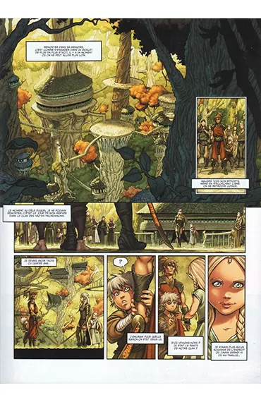 Extrait de planche de la BD Les Terres d'Arran Elfes